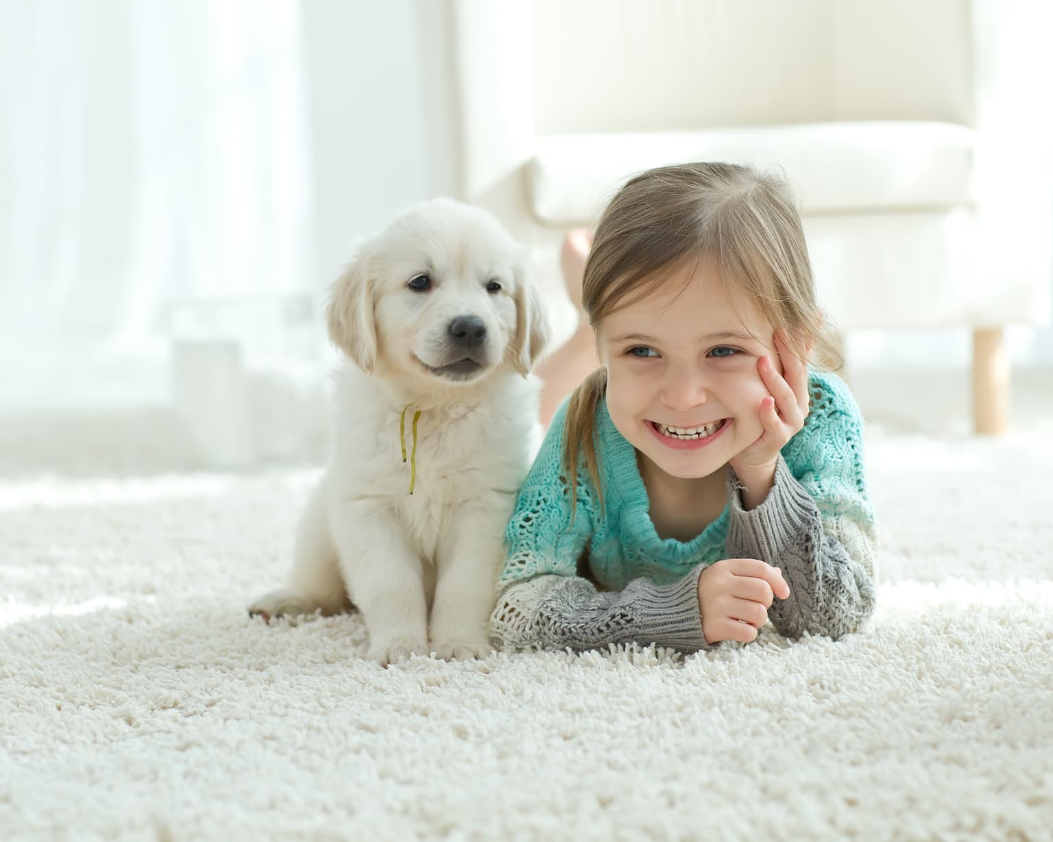 About Safe-Dry Carpet Cleaning of Aiken